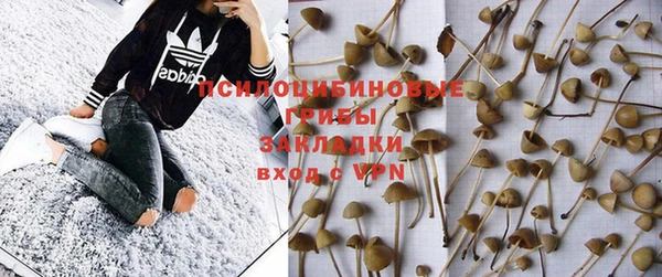 прущий лед Армянск