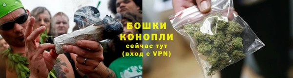 бошки Арсеньев